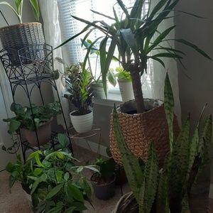 Meet your Posher, Lanticie